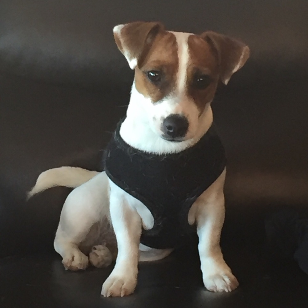 Meet your Posher, Isabel